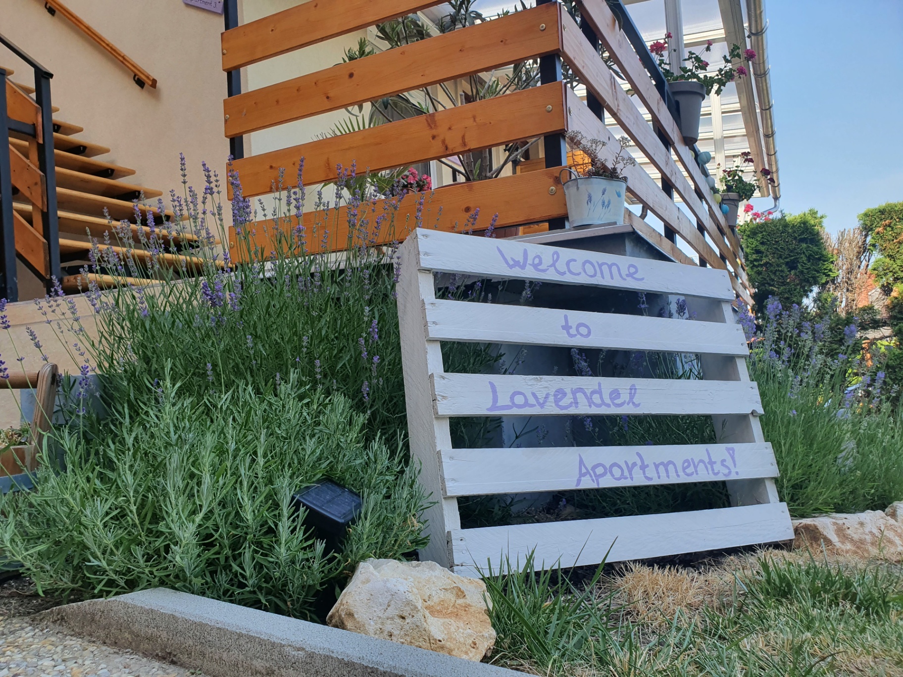 Az udvar és az apartmanház – 3