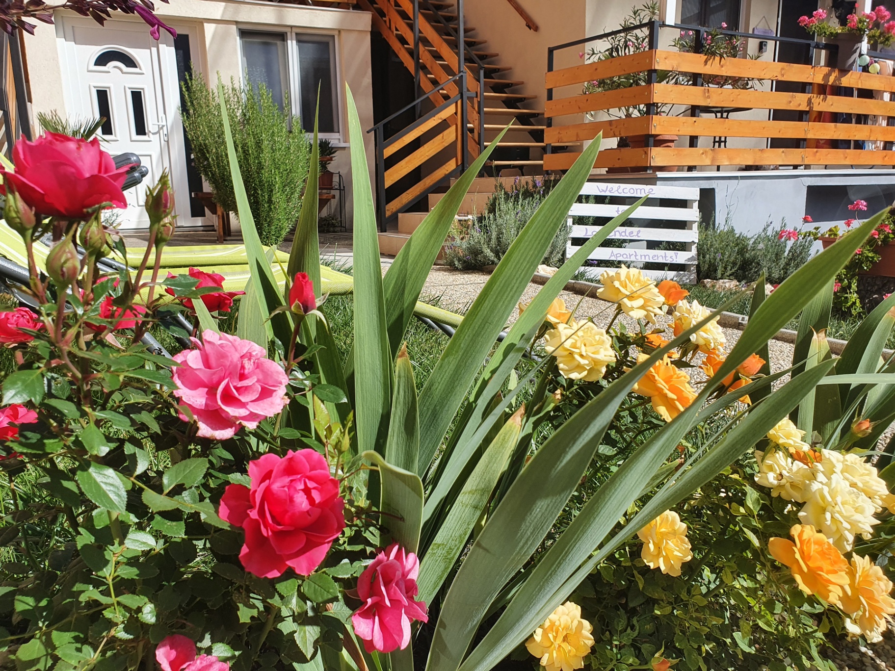 Az udvar és az apartmanház – 8